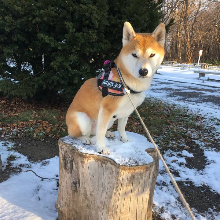 E776b0bb ae22 42a0 9b9e 8e9b9a3d474c 1574295373822