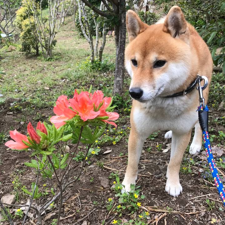 E776b5d8 409f 4891 8c1b 4f0e2e0a10ba 1523790288439