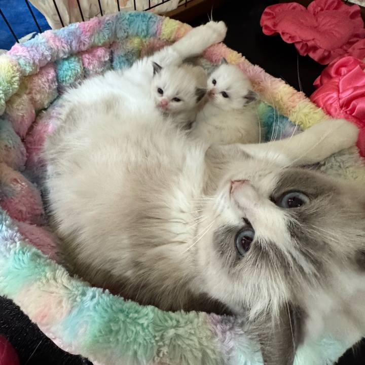 E776e202 cf48 443c 8b48 6aa701a234f5 1764237662000