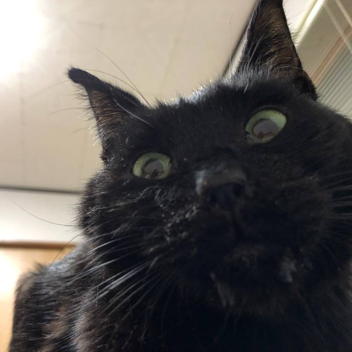 E776eeb1 3ced 4796 b247 69617344e181 1557867193724