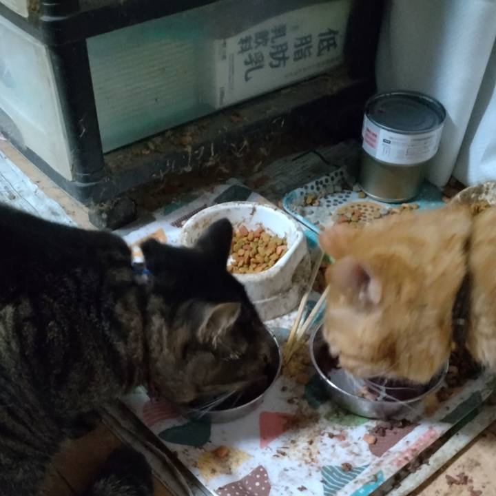 E7771191 55ee 4f68 a5b6 394a7c0076c3 1701162388937