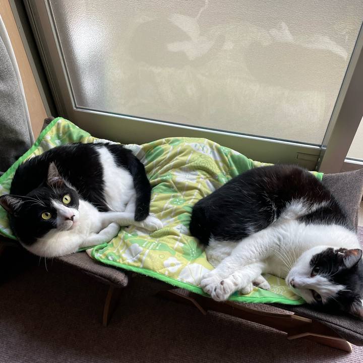 E777241d 4851 4b69 945f d5982806675d 1747426468588