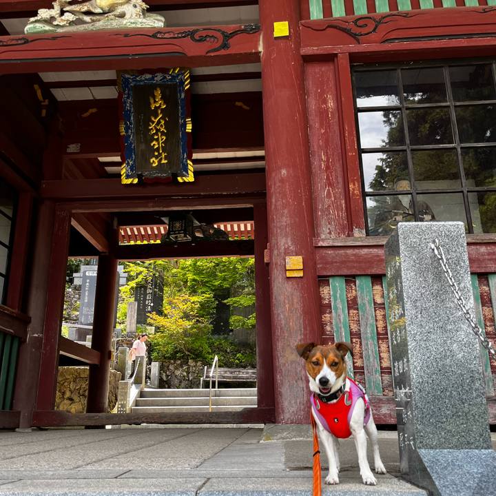 E7772b3e 4bb9 4e2c 8818 c86cc6574bb1 1749200278256