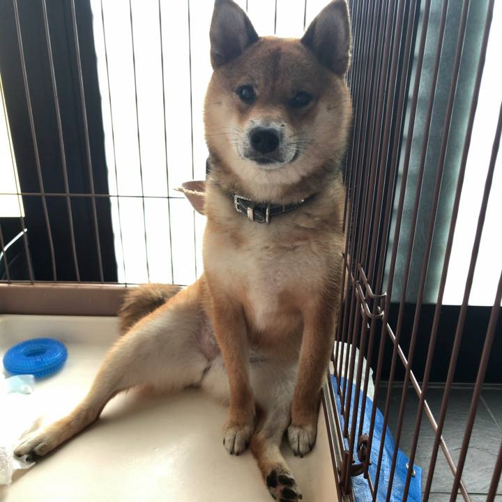 E7776464 212a 4618 b910 8dc9815a519f 1528845408166