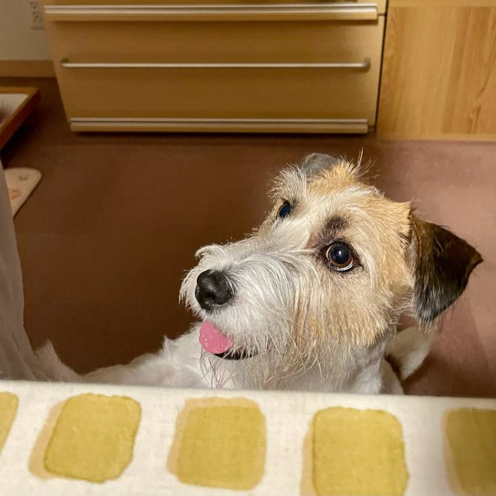 E77766ef 6f63 41cf bf9e 7b82f34fcbbc 1662559087703