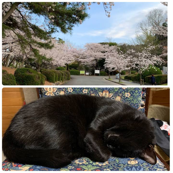 E7776b7c 6019 4eee 8f39 d80592aa417c 1616575549761