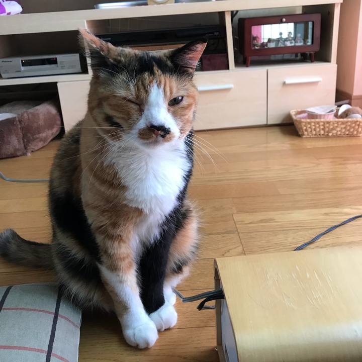 E777c271 64db 42f9 b843 cdf9b04676e1 1532223179756