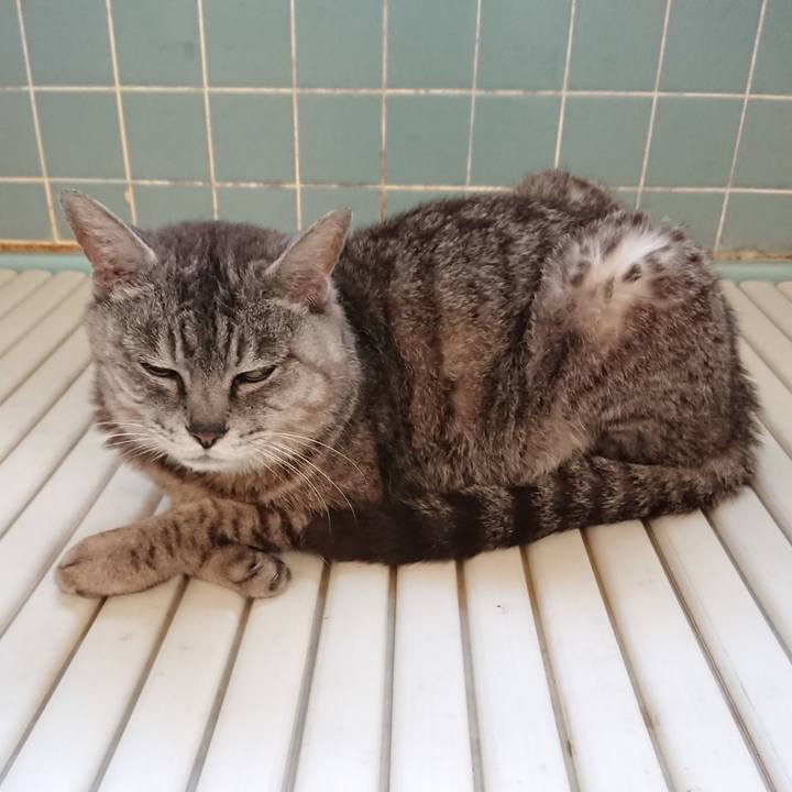 E777e594 0b92 4fd6 a016 1d313668dd8c 1564608936143