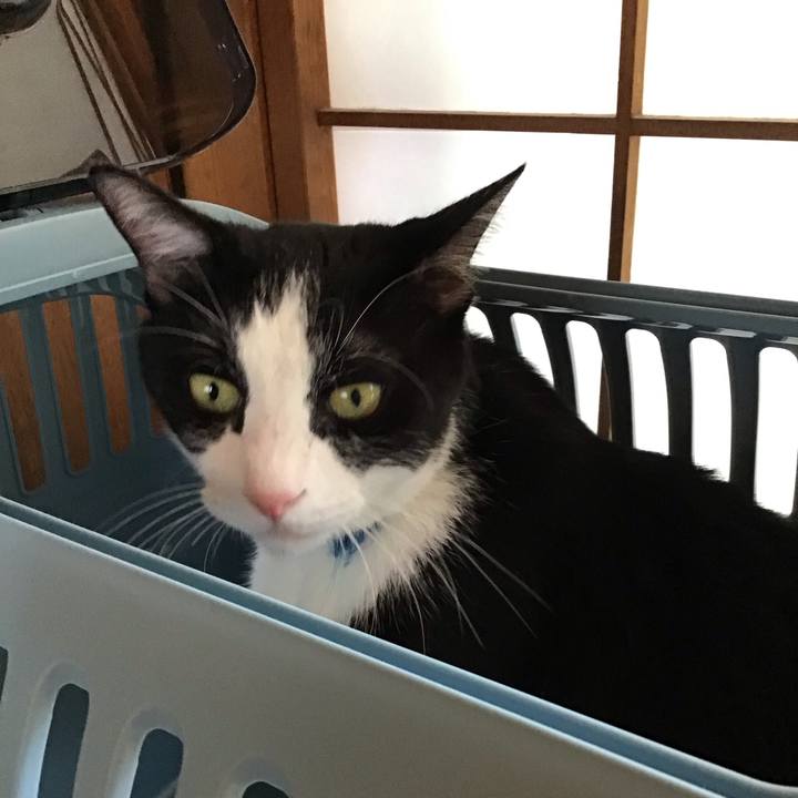 E7781768 4420 485e 9963 187af2dd3c81 1756715701049