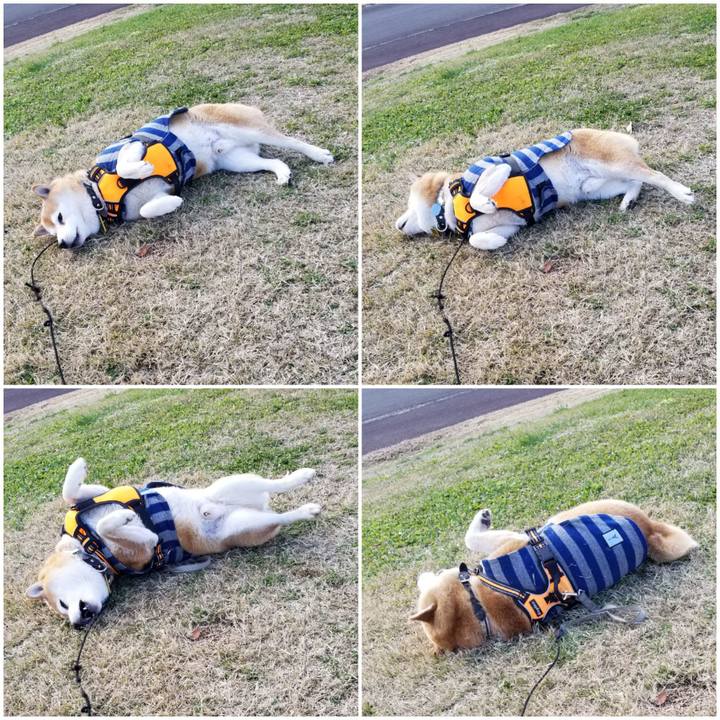 E7781bde 5efd 44af a9e9 0d1f29704b8d 1639547161523