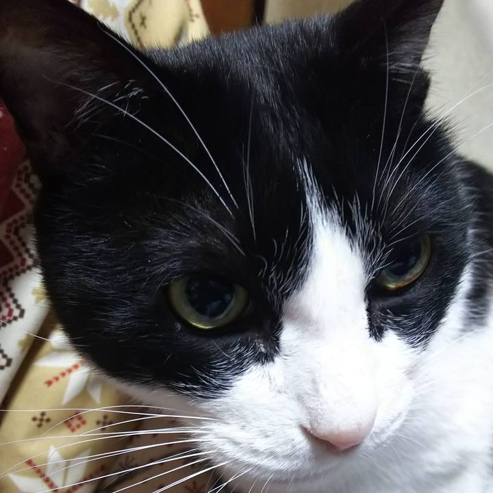 E77826ab 56af 4cae a75f 9621f002cfb0 1579729433710