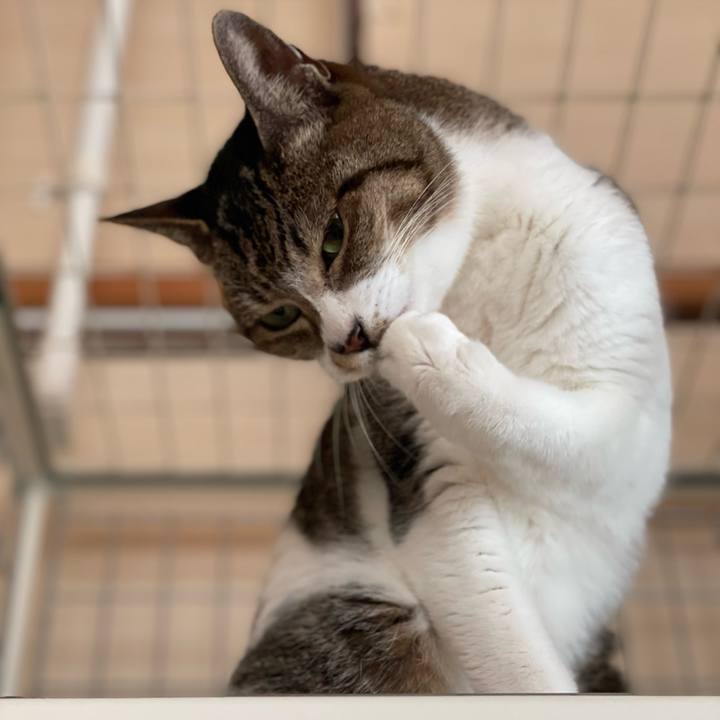 E7783bda a9cf 4d4e a6e4 e61378d13e2a 1641257512507