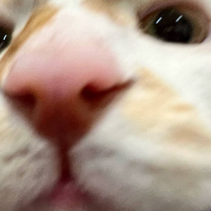 E7786903 6467 4869 8b04 9af06770349d 1764819364471