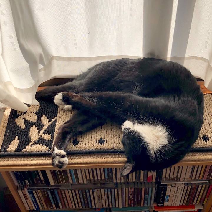 E7788d31 49db 4878 81fd 189d1c55e5a8 1550460919474