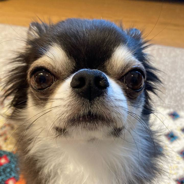 E778e1db 1a55 48b8 bf6f 206e3344c67c 1716678613739