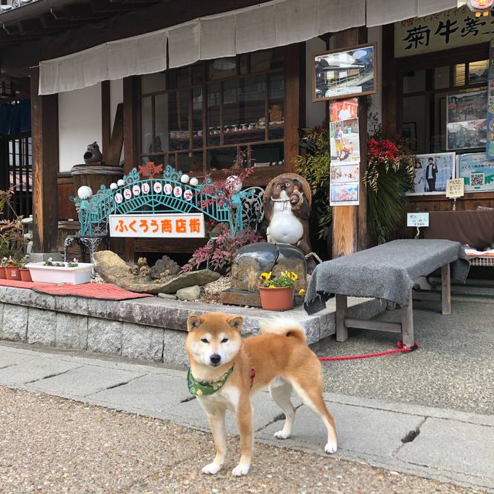 E7790305 3db8 429c 9e80 ccf68e2b37ff 1548060899181