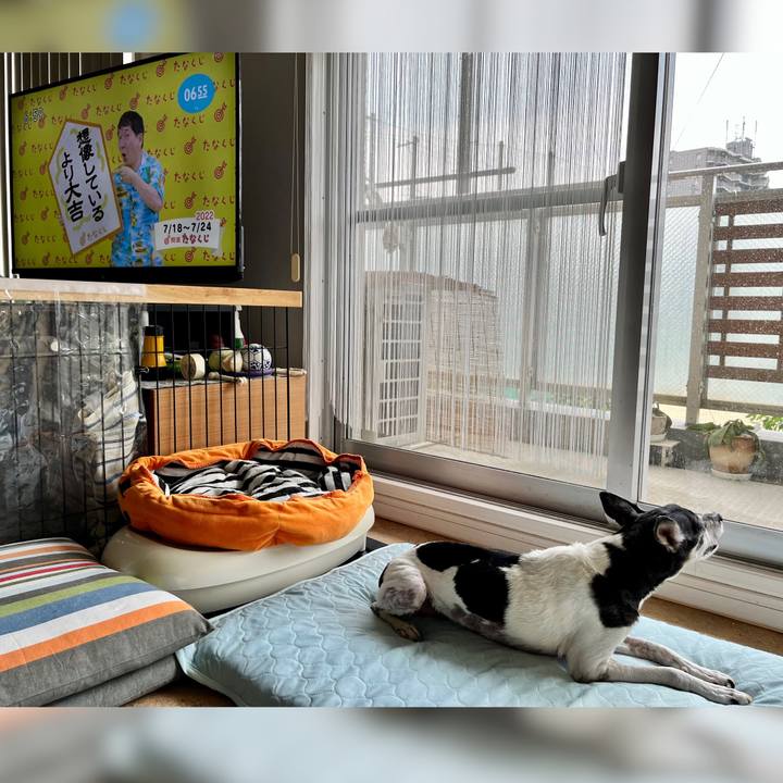 E7790b0c 211a 43f5 9808 e501545a8f3b 1658096118830