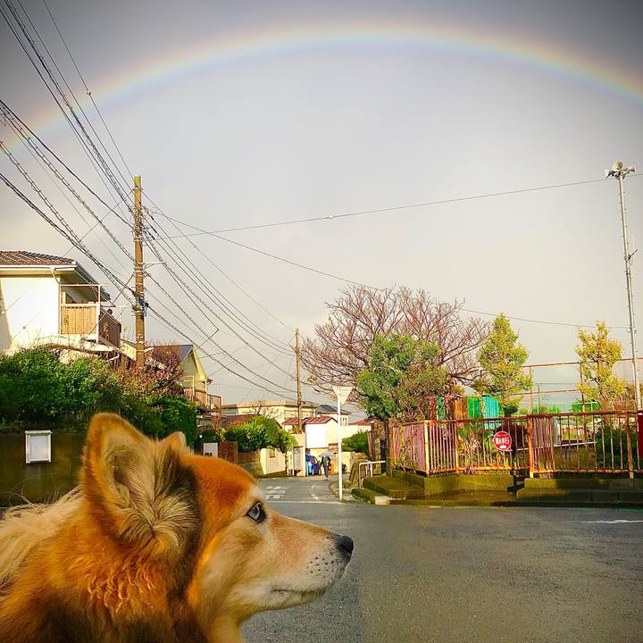 E779446a 4092 44ce 8d21 68b80dbae251 1636449233152