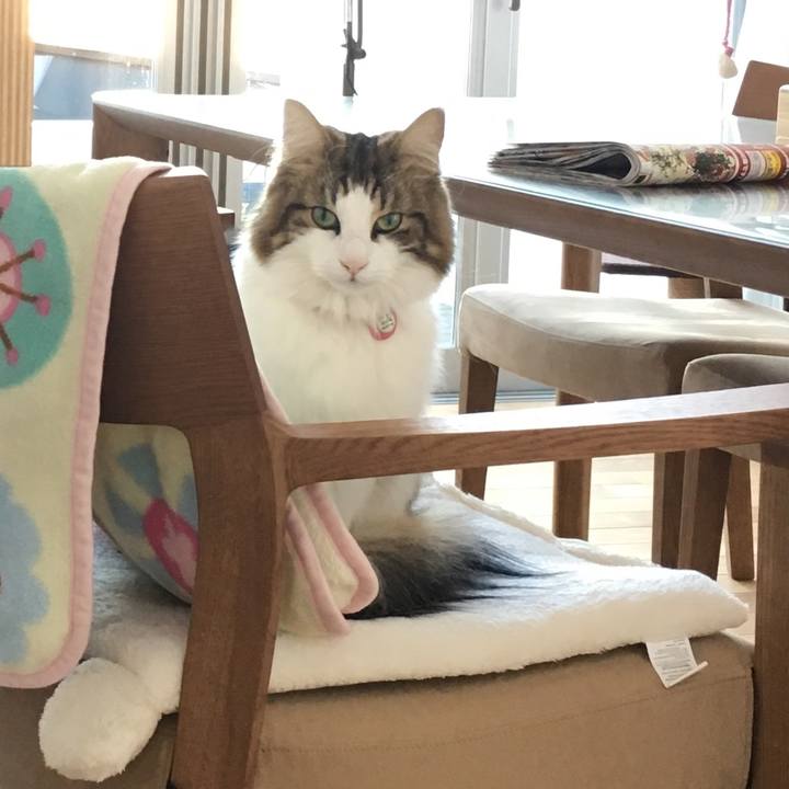 E7797e13 469b 4d2f 90ac 82be8c66c737 1513987291487