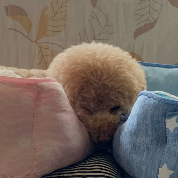 E7798ae0 5fa8 4544 b9e4 0ba9315d51bc 1570509935106