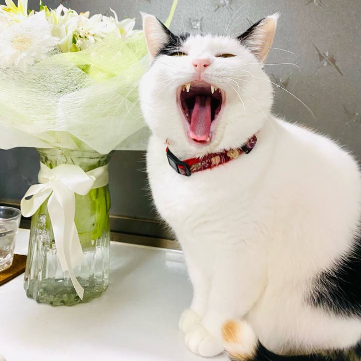 E7798dad d16d 469a 866a 96871d9df115 1701349541482