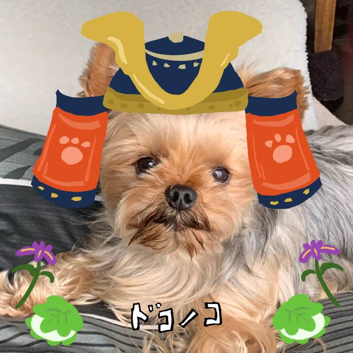 E7799616 e21f 4c2b a26c a0cb41a28930 1714879734513