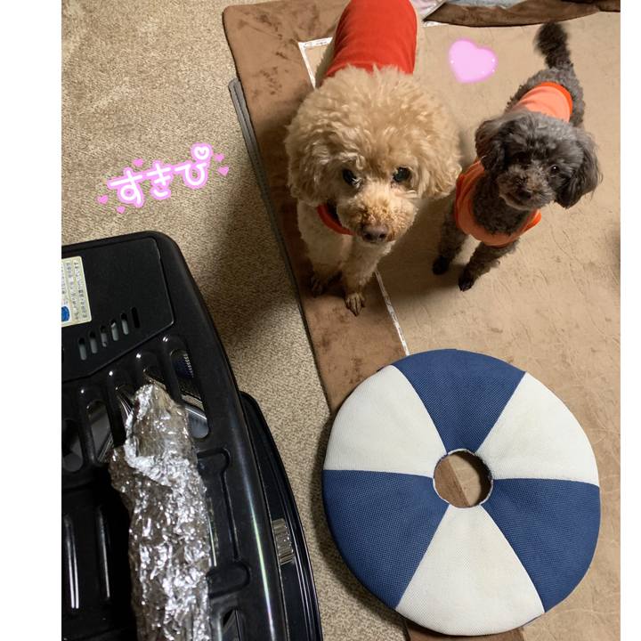 E77a2ac4 cdc8 4320 bbae 6b0aaf08ce3d 1576053718112