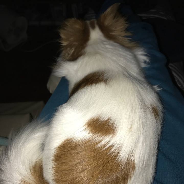 E77a5ce2 1a16 4493 bb43 85a29999927b 1552102441206