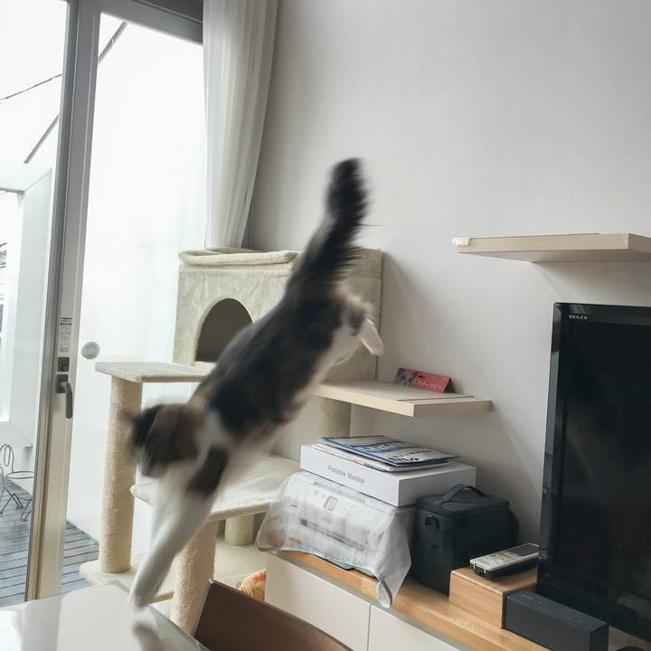 E77a8242 7e4c 40f3 9daa 1b1e7ca87303 1601541388776