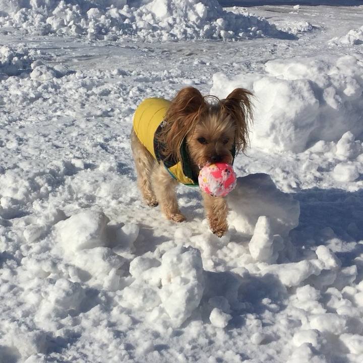 E77a9971 a85f 45fb 8a0e b1534913d18c 1543565237707