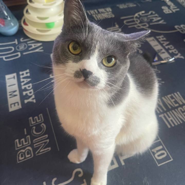 E77aac59 d9c1 4962 b564 03f25921966d 1718499289175