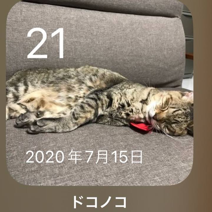 E77aaf2c 02e7 4286 b549 32cbb449f03b 1689937774474