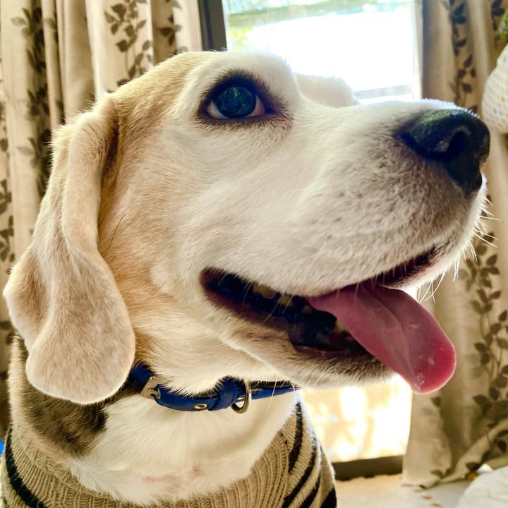 E77b270f 3299 443e b3b5 c3bb0dab250f 1612930581187