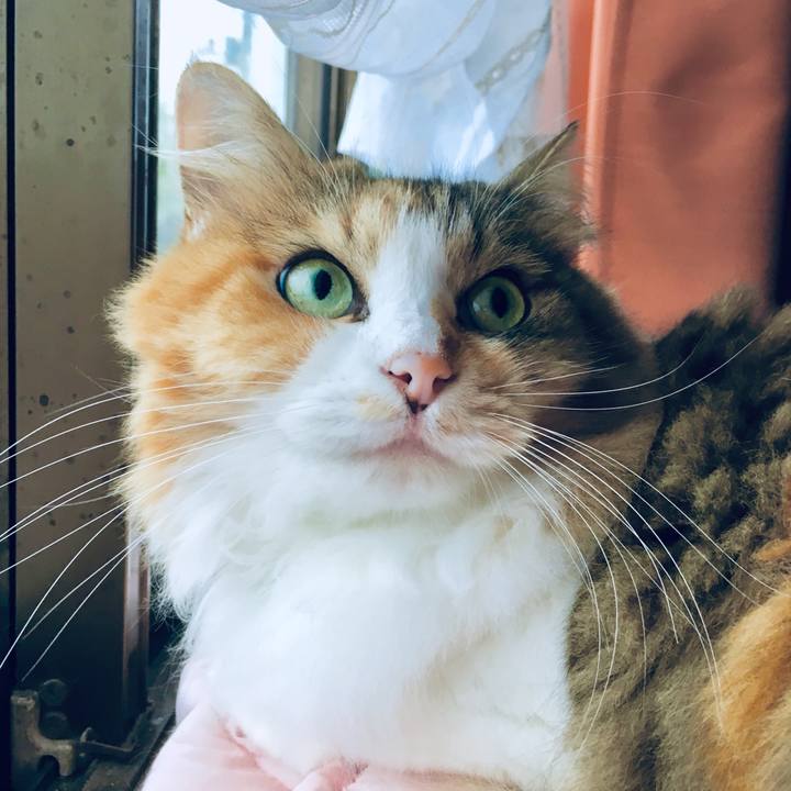 E77bdc59 2968 4e3a ae0d de8a7502d843 1569216891467