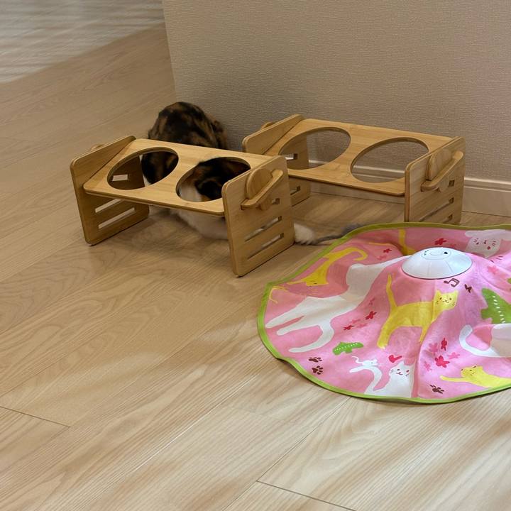 E77beee5 8661 4818 8a13 b7c40f4b5d7c 1772716632243