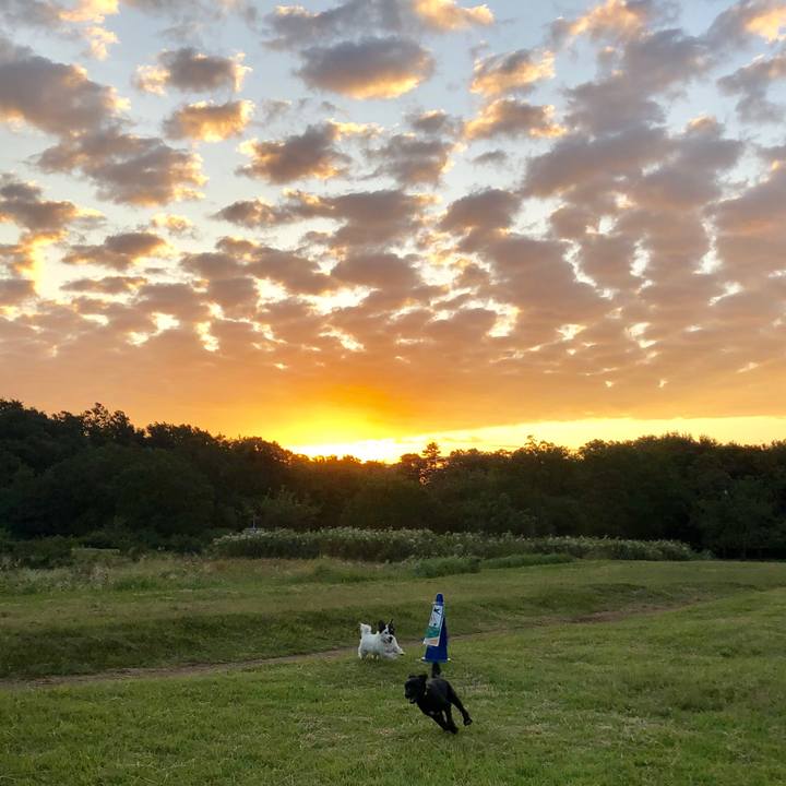 E77bf037 34a8 4a77 82fa 31e642c06f58 1570399603863