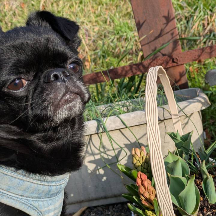 E77c0aed 443a 457b 97a7 95e22c749b0d 1772406472971