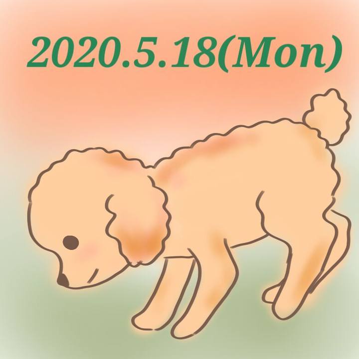 E77c2532 3497 4ce4 8f07 7a59b480a313 1589807883315