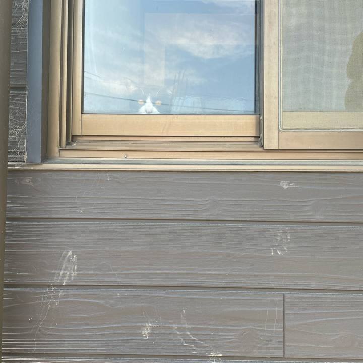 E77c323f 2339 4757 970b 5dcba053e105 1680590224379