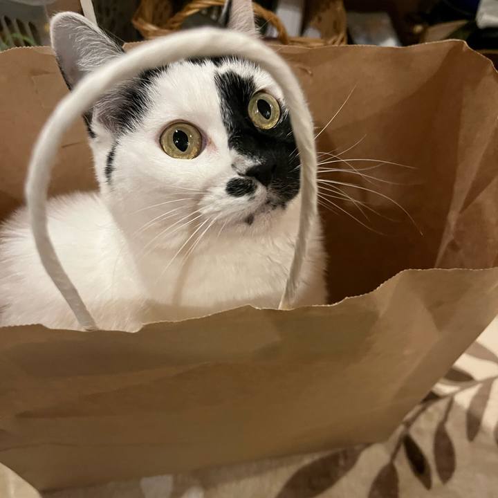 E77c43c5 44bb 4a91 bba3 235e40597548 1764584950766