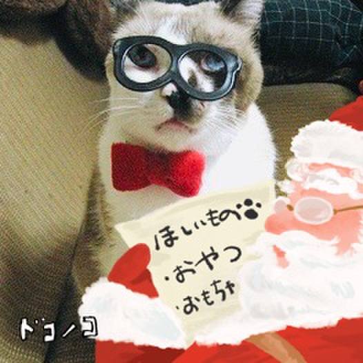 E77c6221 f5ef 4b15 9654 629480d97ddc 1729388982736