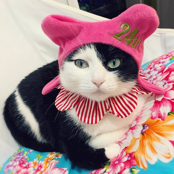 E77c73cf 8346 411f aa5f 397a26a16086 1587551016218