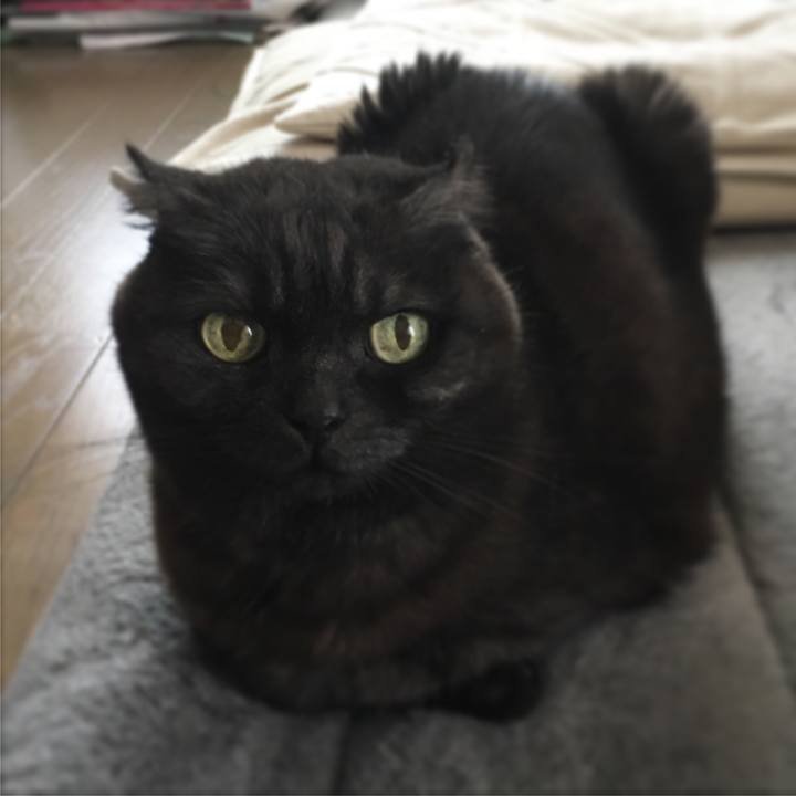 E77c8d4a 4381 4d41 ae1f 57eaeedcae54 1556596325281