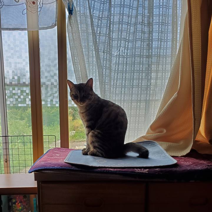 E77cb00d 00b0 417c 9021 41d3f2f7ae87 1694264002649