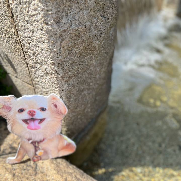 E77cf728 f255 4efe baad 753fb5817d47 1653548748406