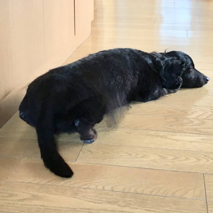 E77cfd35 597d 4631 91b9 a4a8890b1428 1528930306352