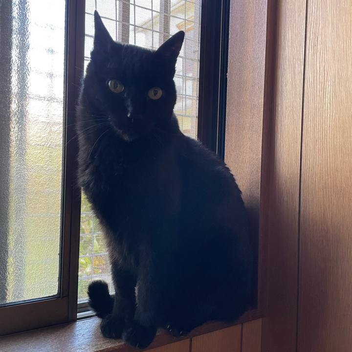 E77d0349 52f5 4670 bb44 065d791b469b 1649123765993