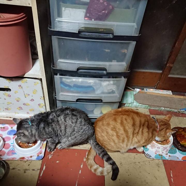 E77d1467 8b79 461c b425 8bea18ef16b2 1604607834914