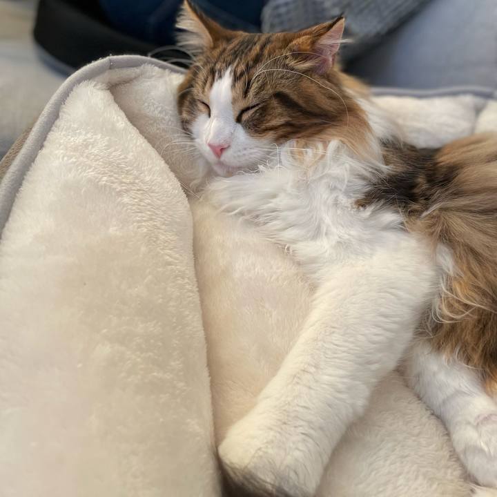 E77d7a2a 0d30 4773 9ecc 9ce53965776f 1644562455922