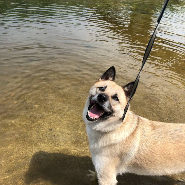 E77d9f81 c20e 4d19 a6c6 1bd4c2b922b4 1627806272745